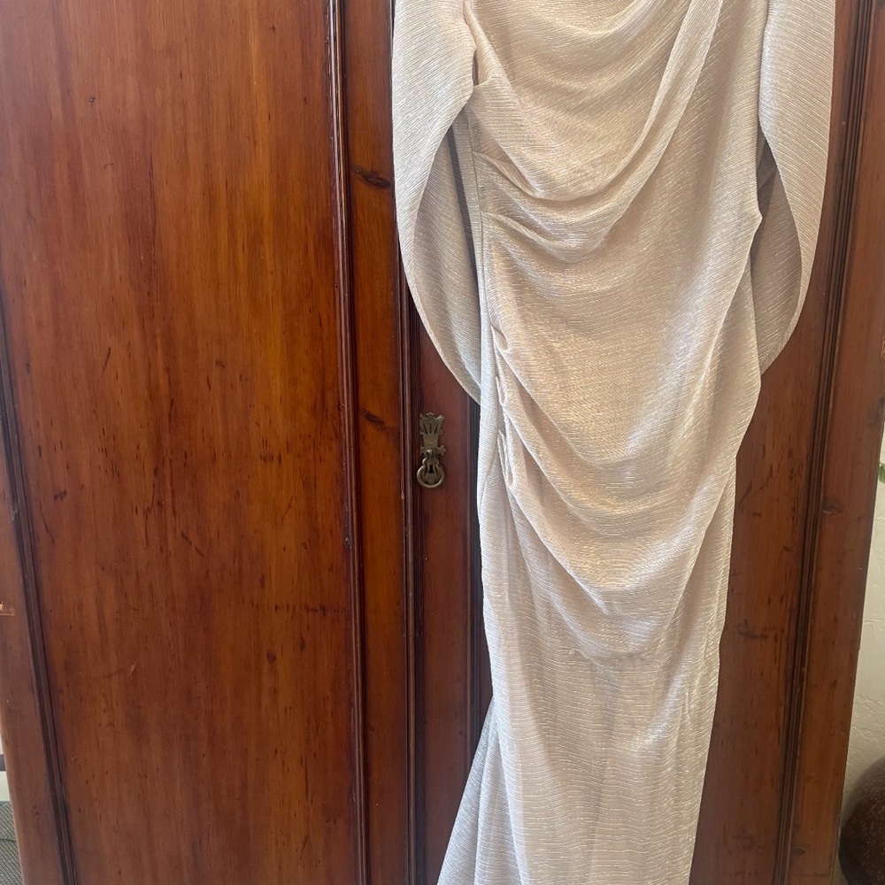 Betsy & Adam Shimmery Beige Ruched Maxi Dress